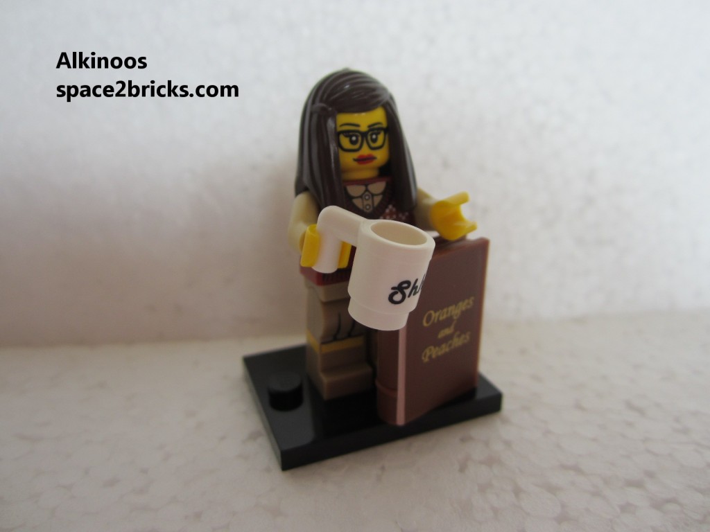 Minfig série 10 libraire p1
