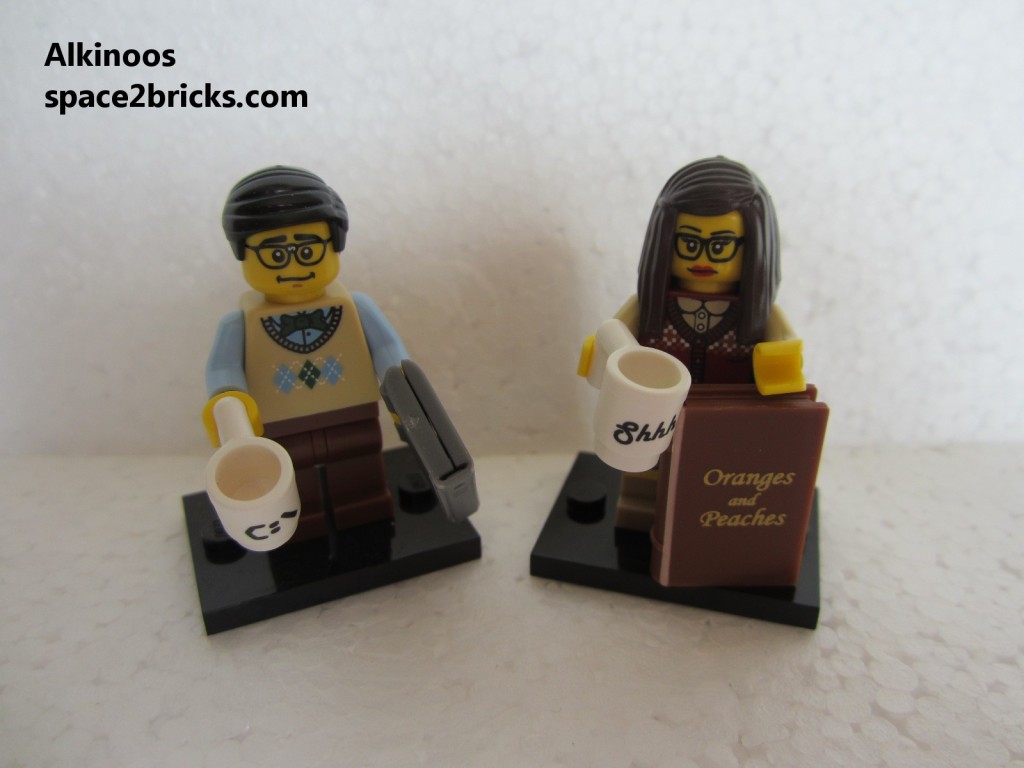 Minfig série 10 libraire p2